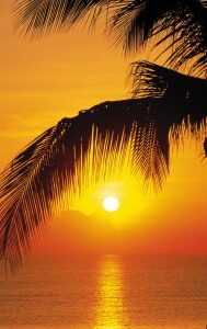 Palmy Beach Sunrise
