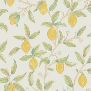 WM Lemon Tree Bay Leaf