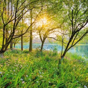 Spring Lake