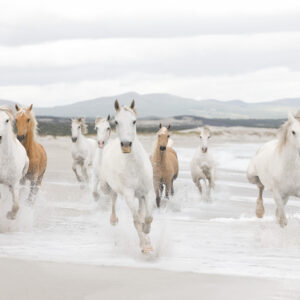 White Horses fototapetti