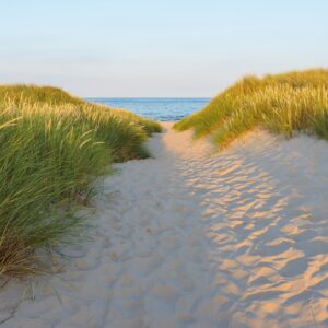 Sandy Path