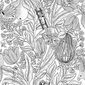 Metamorphosis