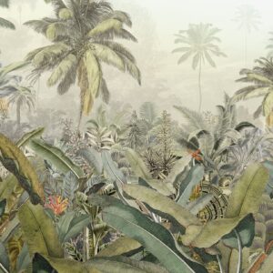 Amazonia (KUITU)